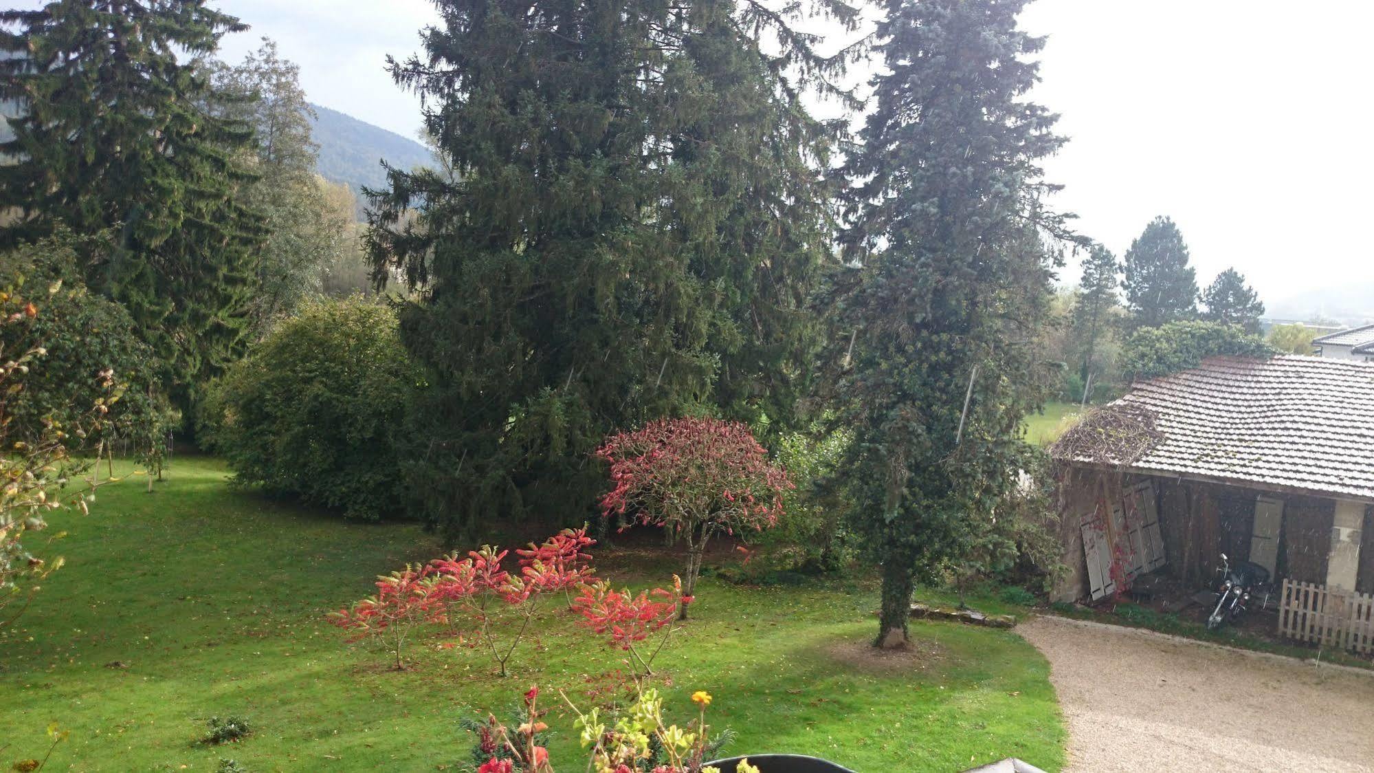 Hotel A La Grenouille Du Jura Bellignat Esterno foto